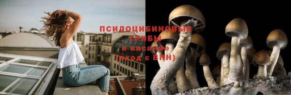 каннабис Алексеевка