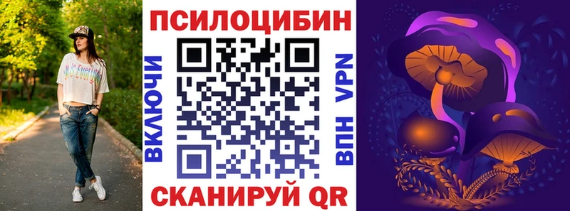 Галлюциногенные грибы GOLDEN TEACHER  наркошоп  Кедровый 
